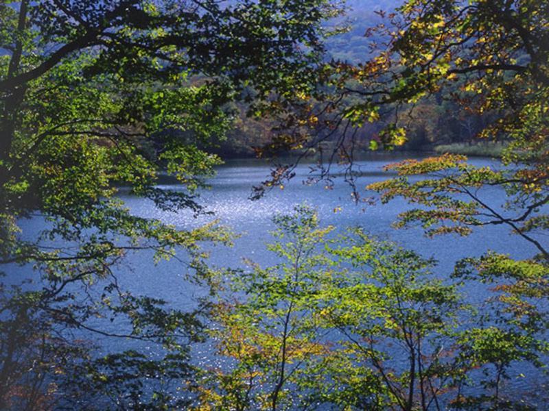 Onsen Minsyuku Akebonosou Morioka Esterno foto