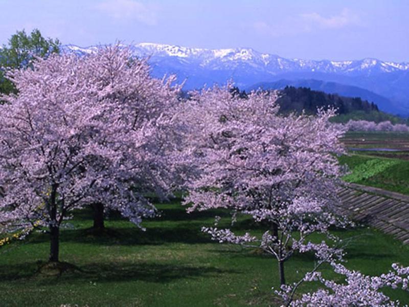 Onsen Minsyuku Akebonosou Morioka Esterno foto