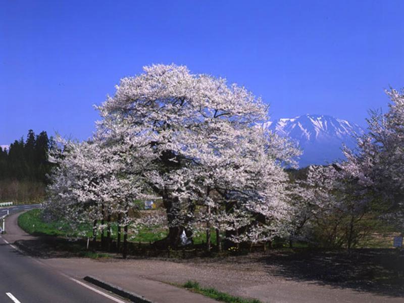 Onsen Minsyuku Akebonosou Morioka Esterno foto